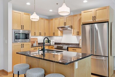 4201 Sunset Dr unit N213, Spring Park, MN 55384 - photo 7