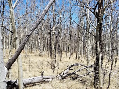 132 Grebe Ln, Como, CO 80432 - photo 6