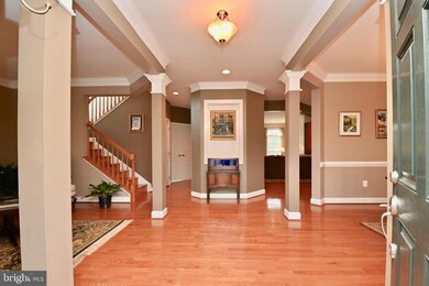 5718 Colfax Ave, Alexandria, VA 22311 - photo 3