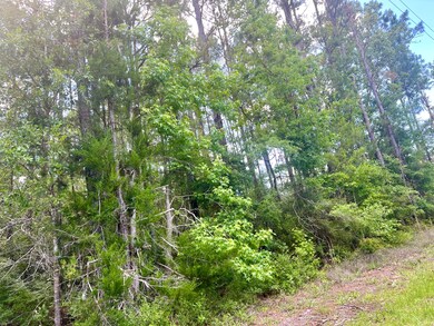 3 acres Bob Sikes Rd, Defuniak Springs, FL 32435 - photo 5