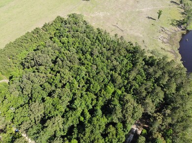 TBD D & G Ln, Whigham, GA 39892 - photo 4