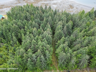 dji_fly_20250428_190026_500_174611445011