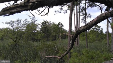 2506 Wesley Rd, Crapo, MD 21626 - photo 6