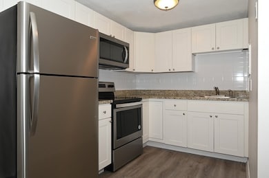 175 Millwood St unit F1, Framingham, MA 01701 - photo 3