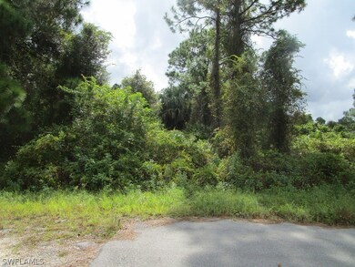 0 Access Undetermined unit 221065251, Lehigh Acres, FL 33974 - photo 4