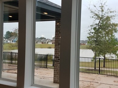 LAKE VIEW FROM ALL REAR WINDOWS