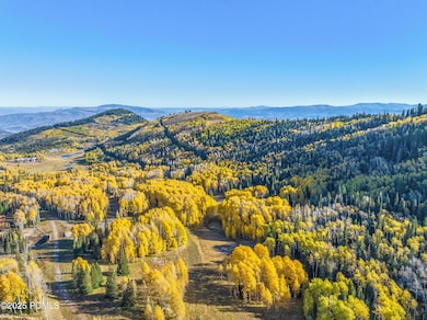 Overall down canyon Phase I