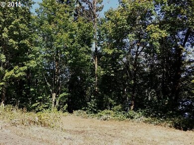 0 Two Lakes Ln unit 10 15115082, Triangle Lake, OR 97412 - photo 2