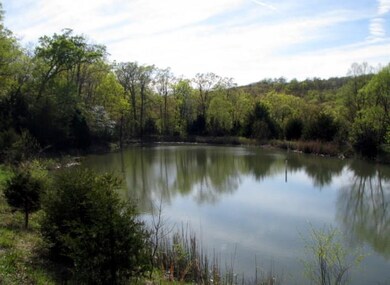 14687 Slaty Gap Rd, West Fork, AR 72774 - photo 3