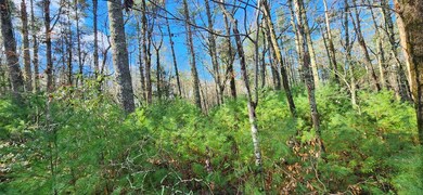 3 LOTS Ridgecrest Dr, Blue Ridge, GA 30513 - photo 5