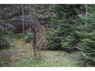 5 Abigails Cir, Jefferson, NH 03583 - photo 4