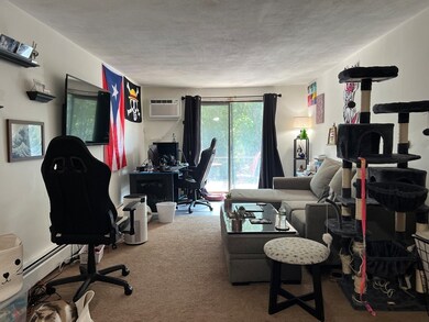 121 Whipple St unit 15, Worcester, MA 01610 - photo 2