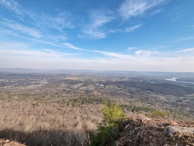 0 Hovering Hawk Dr unit RTC2912800, Jasper, TN 37347 - photo 2