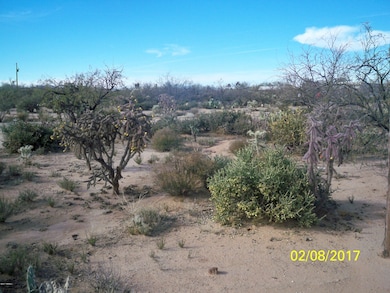 12121 W Trigger Lane 006