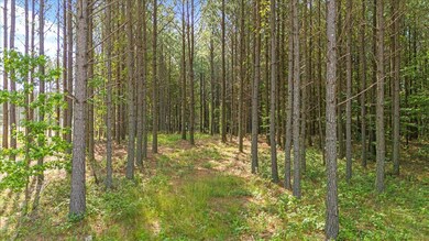 15-DJI_20250611092139_0022_D