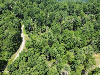 dji_fly_20250627_131726_75_1751044802382