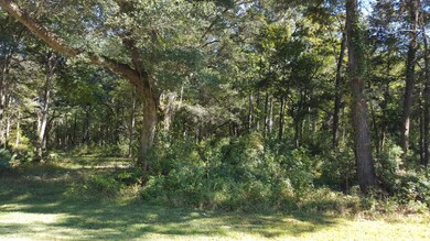 0 Old Rosebud Trail unit 15027315, Awendaw, SC 29429 - photo 3