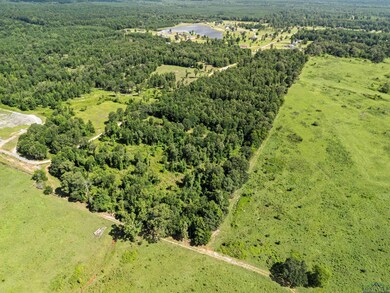 27 AC Tbd Deerfield Farms Rd W, Longview, TX 75605 - photo 6