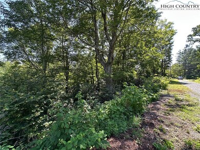 TBD Camden Ln, Blowing Rock, NC 28605 - photo 6