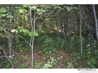 Wooded section of lot