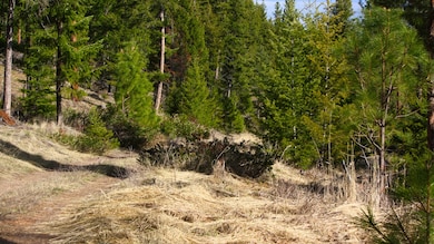 Nhn Blackjack Rd, Plains, MT 59859 - photo 7