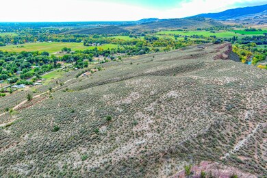 3501 Raptor Ridge Ln, Laporte, CO 80535 - photo 5
