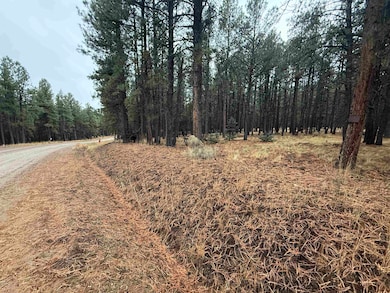 Lot 122 San Juan Dr, Angel Fire, NM 87710 - photo 4
