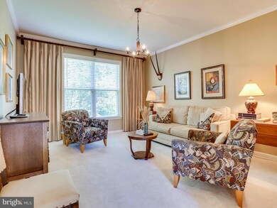 8920 Mountain Ash Dr, Springfield, VA 22153 - photo 7