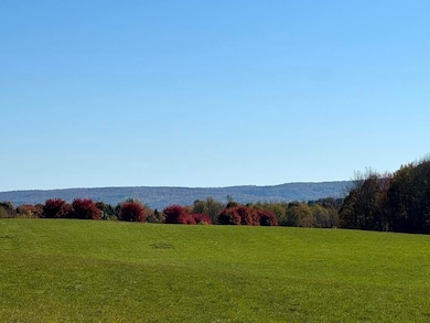 0 County Road 29, South Edmeston, NY 13411 - photo 2