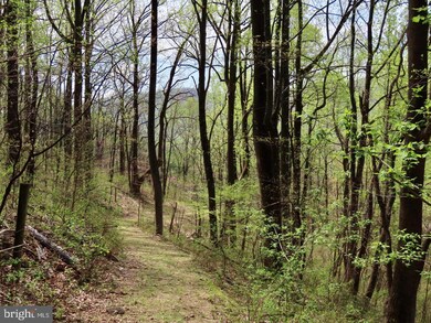 0 Gid Brown Hollow Rd unit VARP2000844, Washington, VA 22747 - photo 2