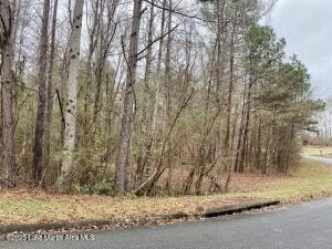 07 Lot 43 Althea Loop