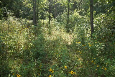 39 Hwy, 7