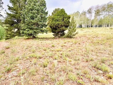 0 Aspen Dr unit M & B, Brian Head, UT 84719 - photo 3