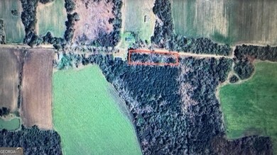 0 Spencer Rd, Dixie, GA 31629 - photo 4