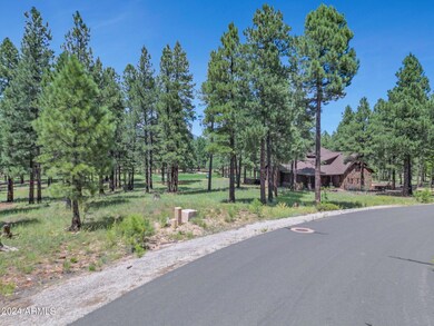 2-web-or-mls-TimberCreekImagery-2 (1)