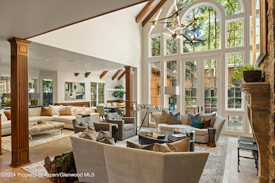 303 W Hopkins Ave, Aspen, CO 81611 - photo 3