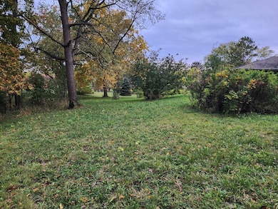 31W184 Wolsfeld Dr, Elgin, IL 60120 - photo 3