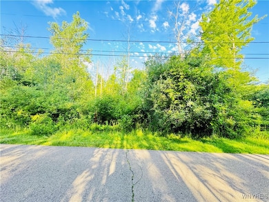 0 Sycamore Ave unit B1623308, Evans, NY 14006 - photo 6