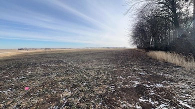 000 County Highway 45, Clarks Grove, MN 56016 - photo 4