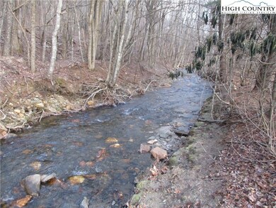 Native Trout Stream