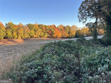 2046 Old Cornelia Hwy, Gainesville, GA 30501 - photo 3