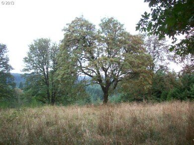 0 S Casto Rd, Oregon City, OR 97045 - photo 6