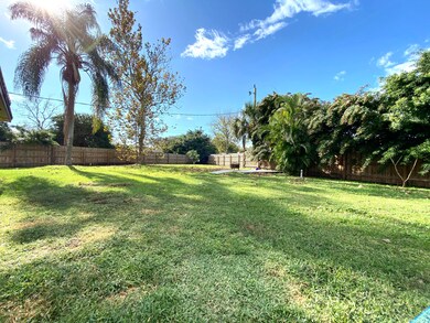 Back yard