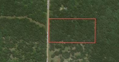 Lot 28 County Road 555 C, Bayou I Township, MO 65760 - photo 2