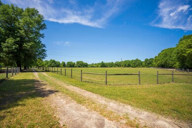 Pasture
