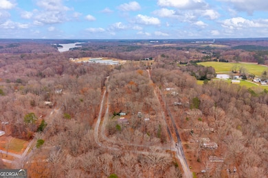 388 Ridgeview Dr, Lavonia, GA 30553 - photo 4