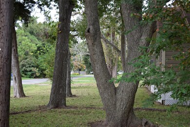 1501 4th St, Bay City, TX 77414 - photo 3