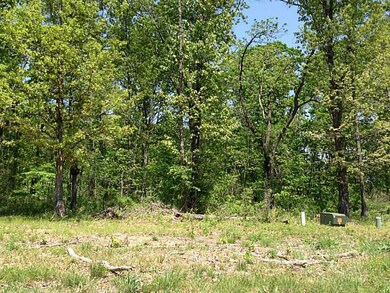 1509 Norte Dame Ct, Centerton, AR 72719 - photo 2