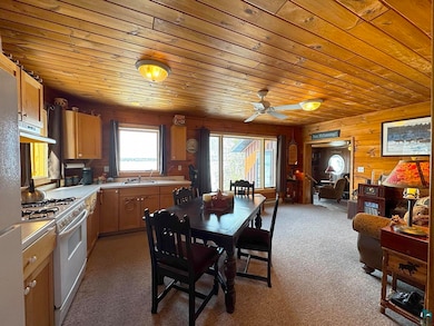 Kitchen with wood ceiling, extractor fan, light co
