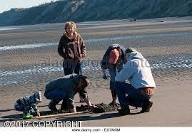 Clam Gulch2